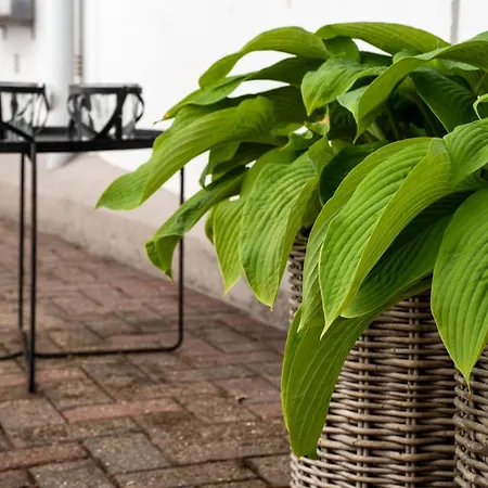Apartment Kleine Lotti Lubeck