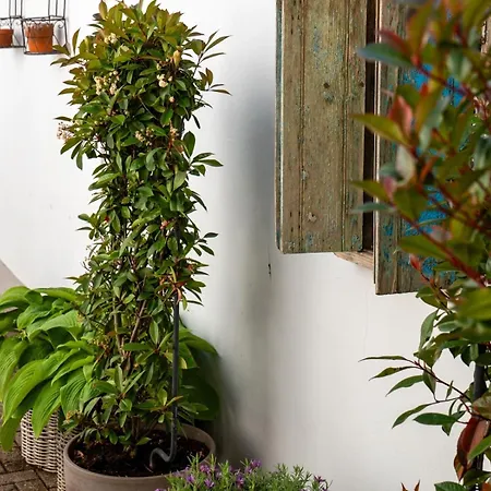 Apartament Kleine Lotti Lubeka